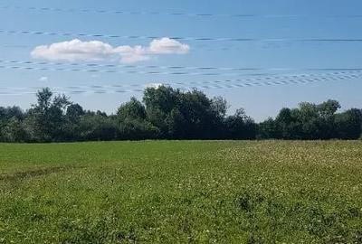 Teren în Dumbrăvița