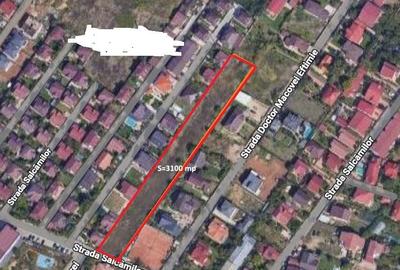 Teren de 3100 mp, în Chiajna - 1