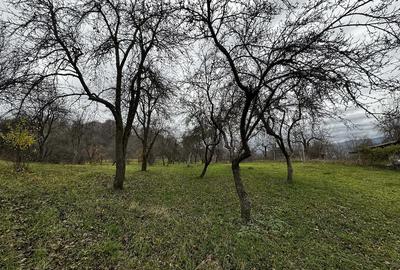 Teren de 1422 mp, în Dobrotu - 2