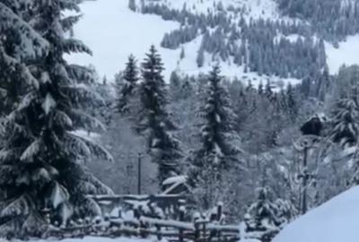 Teren de 6000 mp, în Ortoaia - 1