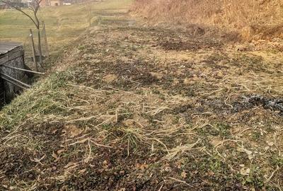 Casă cu 4 camere cu Teren 150 Mp în Nadăș - 2