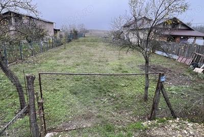Teren de 978 mp, în Mănești - 1