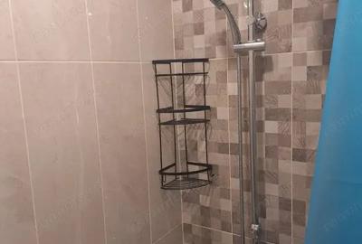 Garsonieră în Șagului - 3