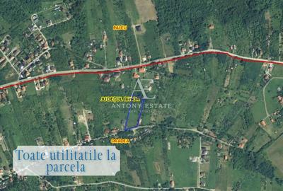 Teren de 6583 mp, în Dealuri Oradea - 2