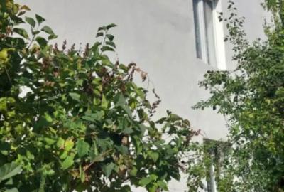 Casă cu 4 camere cu Teren 399 Mp în Central