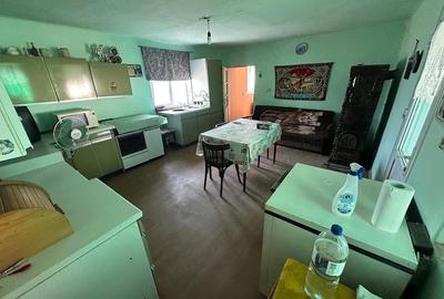 Casă cu Teren 730 Mp în Lovrin - 1