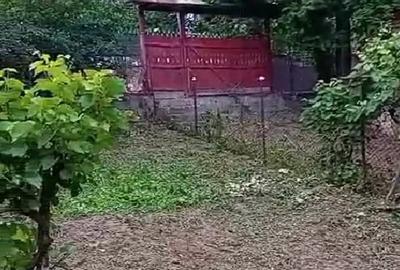 Casă cu Teren 1000 Mp în Muscel - 3