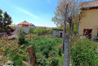 Casă cu 3 camere cu Teren 260 Mp în Central - 8