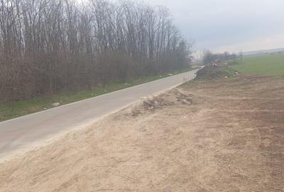 Teren Construcții intravilan de 14400 mp, în Dragomirești-Deal - 3