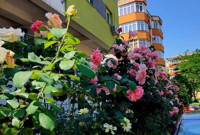 Apartament cu 3 camere decomandat în George Enescu - 2