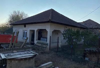 Casă cu Teren 2300 Mp în Daneți - 2