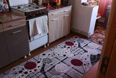 Apartament cu 2 camere semidecomandat în Govândari - 12