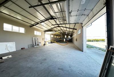 Spațiu industrial, de 415 mp, în Buhoci - 3