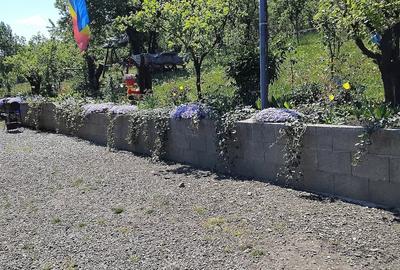 Teren de 6000 mp, în Fălticeni - 5