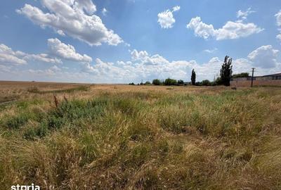 Teren de 9976 mp, în Bucovăț - 1