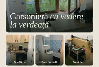 Garsonieră decomandată în Exterior Vest - 1