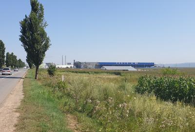 Teren de 9500 mp, în Nicolae Bălcescu