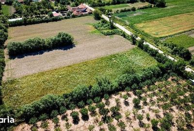 Teren de 2900 mp, în Fârliug - 5