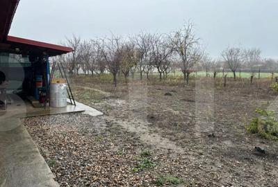 Casă cu 3 camere cu Teren 1400 Mp în Iratoșu - 5
