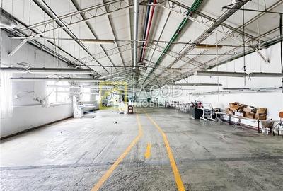 Spațiu industrial, de 2,000 mp, în Ștefan cel Mare