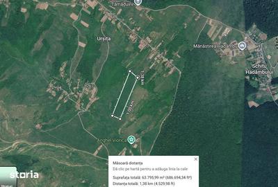 Teren de 65000 mp, în Mironeasa - 3