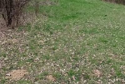 Teren de 6800 mp, în Moisei - 4