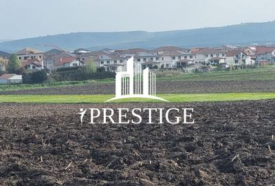 Teren agricol extravilan de 10000 mp, în Șura Mică - 13