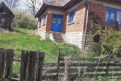 Casă cu 2 camere cu Teren 3506 Mp în Topa Mică