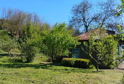 Teren Construcții intravilan de 1600 mp, în Somova - 2
