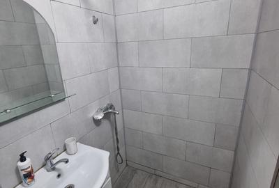 Garsonieră semidecomandată în Craiovița Nouă - 6
