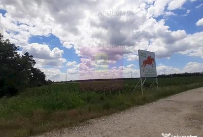 Teren de 715 mp, în Snagov