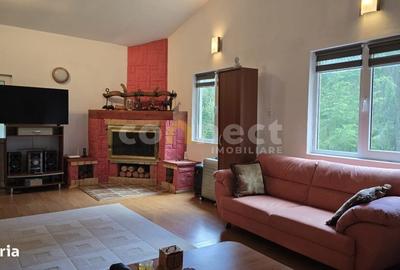Casă cu 3 camere în Dealu Negru - 2