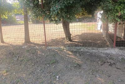 Teren de 1100 mp, în Ograda