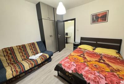 Garsonieră decomandată, mobilată în Domenii