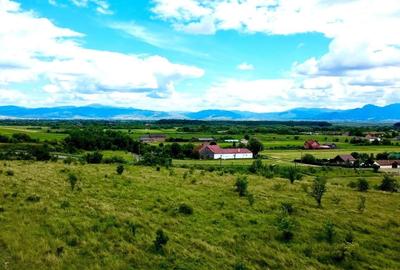 Teren Construcții intravilan de 854 mp, în Podu Oltului - 4