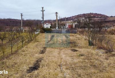 Teren de 1500 mp, în Ciurila - 3