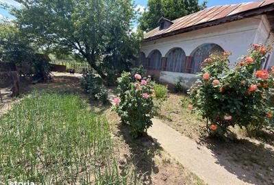Casă cu 3 camere cu Teren 1110 Mp în Central