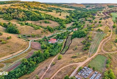 Teren de 3200 mp, în Aghireșu