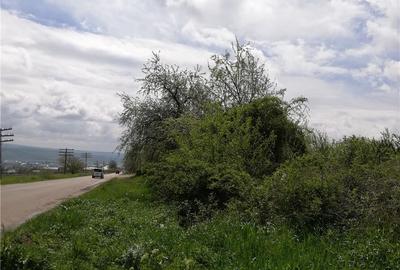 Teren de 1800 mp, în Central