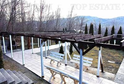 Spațiu comercial, de 2,900 mp, în Cornu