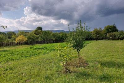 Teren de 2900 mp, în Estelnic - 3