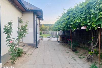 Casă cu 2 camere cu Teren 2452 Mp în Central - 10