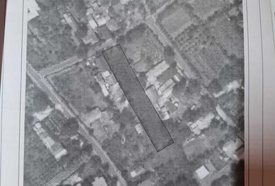 Spațiu comercial, în Clondiru - 3