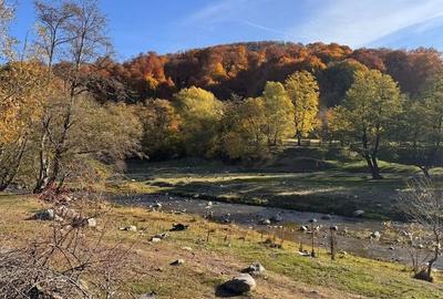 Teren de 7500 mp, în Sălătrucu