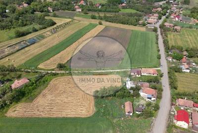 Teren de 2100 mp, în Borșa - 13