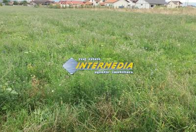 Teren Construcții intravilan de 875 mp, în Cetate - 1