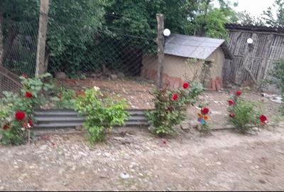 Casă cu 4 camere în Dăscălești
