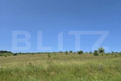 Teren de 1200 mp, în Sălicea - 2