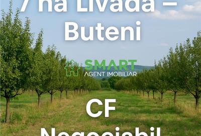 Teren de 70800 mp, în Buteni - 2