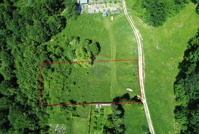 Teren Construcții intravilan de 1500 mp, în Lepșa - 2